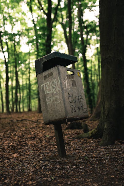 A rectangular metal mailbox mounted on a black angled post in a forest setting, with tall trees and green foliage in the background. The mailbox is weathered, covered in graffiti, and slightly tilted to one side; it has a lid on top and a small slot for mail on the front. The ground around it is covered with brown leaves and dirt. The scene is illuminated by natural light filtering through the trees, creating a dappled effect. This image is captured outdoors in a wooded area, possibly for a local postal collection point, with the surroundings emphasizing natural environment and rustic postal infrastructure, relevant to house removals and moving logistics, as represented by the proximity of postal services within a property context.