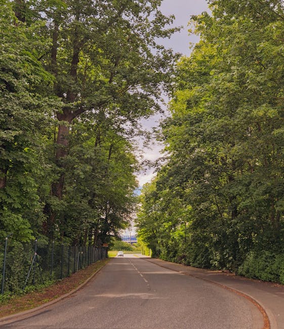 A quiet residential street lined with tall, leafy green trees on both sides, creating a shaded canopy over the paved road. The road has a dashed centre line and gently curves ahead, leading towards a distant junction. On the left side, a chain-link fence runs alongside the pavement, partially obscured by the bushes and foliage. At the far end of the street, a white vehicle is parked near a small clearing or entrance. The scene is well-lit with natural daylight, and the overall environment suggests a peaceful, suburban neighbourhood, suitable for local home relocations or moving logistics managed by Man with Van Harold Wood.
