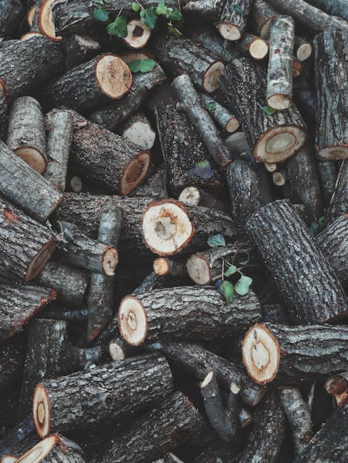 Close-up view of a large pile of cut firewood logs with rough, dark bark and freshly sawed light wood cross-sections, some with small green leaves and branches attached. The logs are stacked outdoors, with natural lighting highlighting the textures of the wood and bark. In a house removal or relocation context, such logs might be seen near the entrance or in a backyard collection area, often associated with preparing a property for move or clearing space for packing and loading items into a van. The scene reflects the process of organizing or clearing materials in a residential setting, supporting the context of home relocation services like those offered by Man with Van Harold Wood, including loading, packing, and transport logistics.